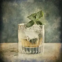 Gin Smash vintage drink recipe